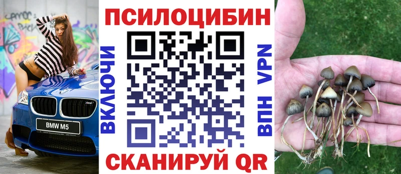 Псилоцибиновые грибы Magic Shrooms  Красноуфимск 